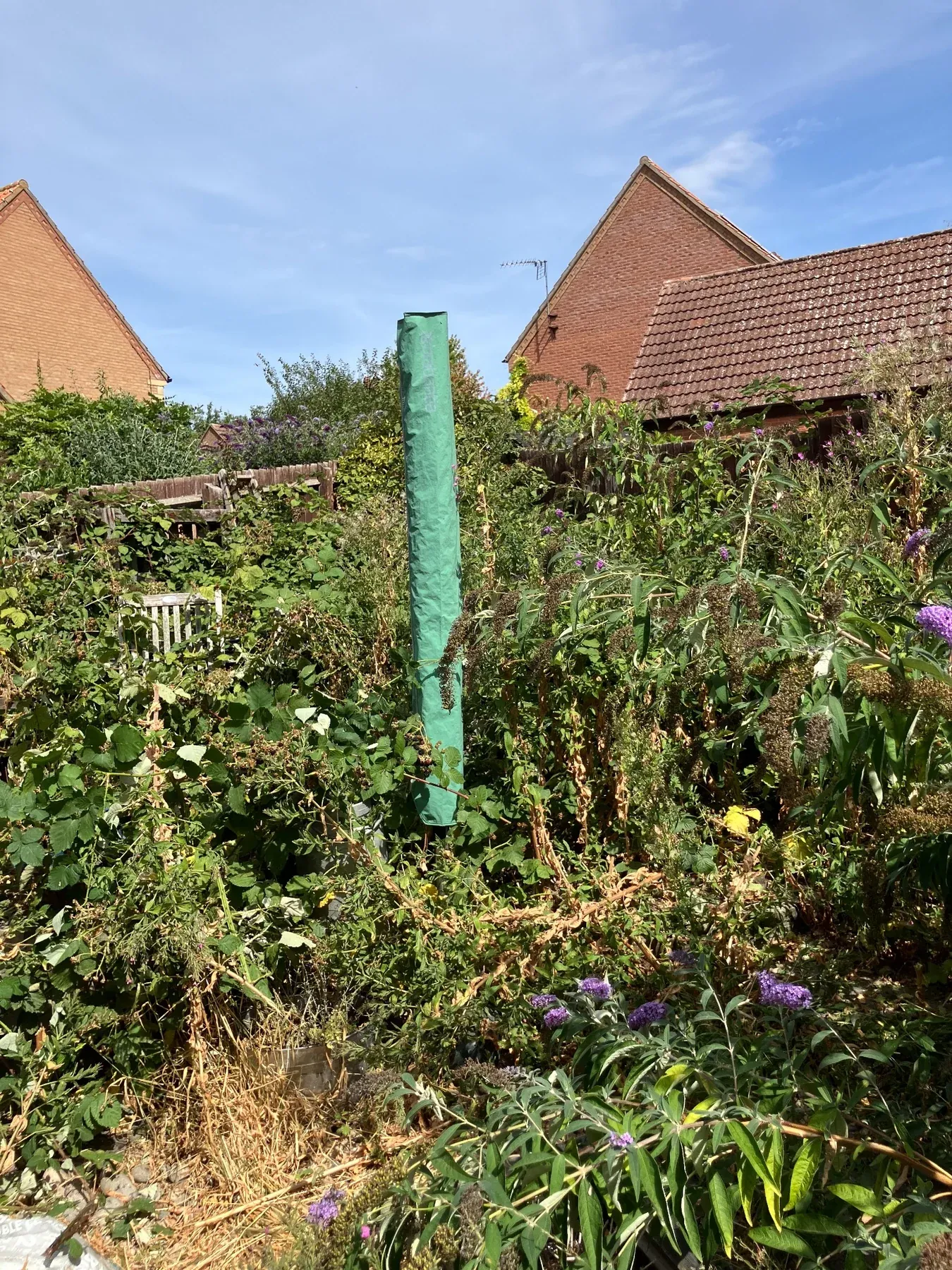 Show us the garden as it really is.