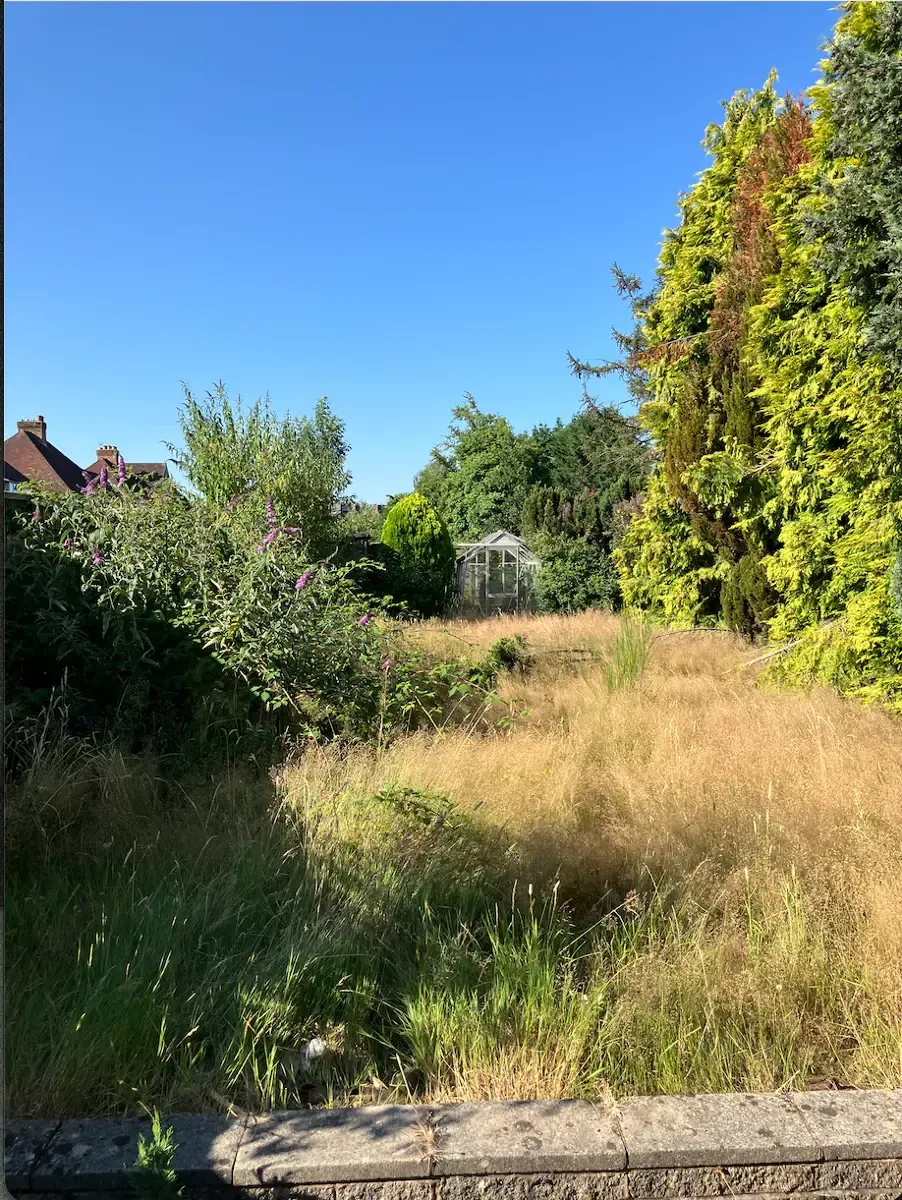 Till The Land Hedge trimming work
